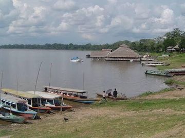Oportunidad única! Fundo productivo y para de campo en Pucallpa