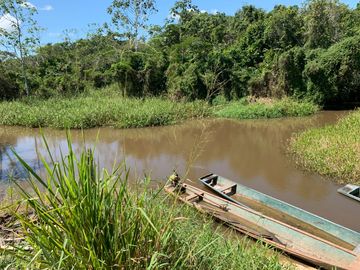 Oportunidad única! Fundo productivo y para de campo en Pucallpa