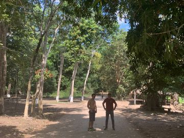 Oportunidad única! Fundo productivo y para de campo en Pucallpa