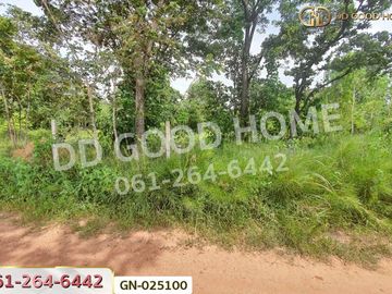 GN-025100 Land in Ban Lao, 5 rai, Chaiyaphum, near Chaiyaphum School for the Deaf