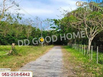 Land Saraphi 1 rai 137.8 sq w. Chiang Mai near Wat Ubosot