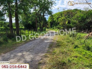 Land Saraphi 1 rai 137.8 sq w. Chiang Mai near Wat Ubosot