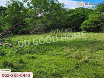 Land Saraphi 1 rai 137.8 sq w. Chiang Mai near Wat Ubosot