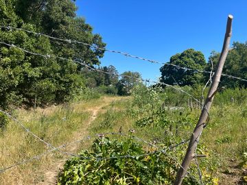 Terreno 2578 m2, Santa Sofia Chiguayante. Región del Bio Bio