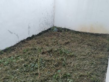 Rumah Dijual Murah Di Perumahan Purwakarta Perum Royal Campaka 5 Menit Menuju Tol Sadang Jual