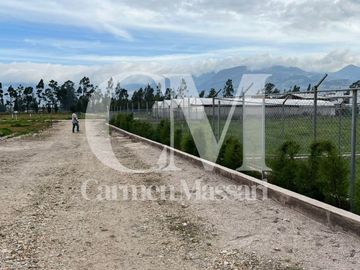 Venta Terreno Cajamarca