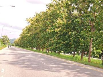 Peaceful and serene!! Comfortable!!! Close to the city!!!! Breathe fresh air every day!!! #Selling Single House in Pooltalung, Sattahip, Chonburi