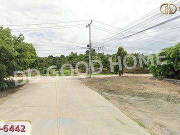 Land in Muang Lamphun, 2 rai, 116 sq w, Lamphun.