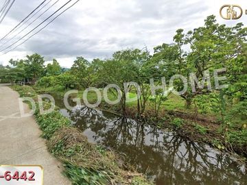 Land in Muang Lamphun, 2 rai, 116 sq w, Lamphun.