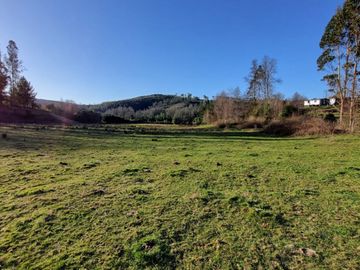 Parcelas con Estero Sector Lipingue