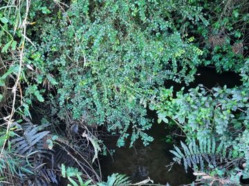 Parcelas con Estero Sector Lipingue