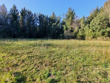 Parcelas con Estero Sector Lipingue