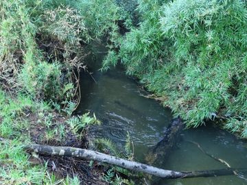 Parcelas con Estero Sector Lipingue