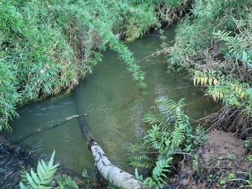 Parcelas con Estero Sector Lipingue