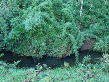 Parcelas con Estero Sector Lipingue