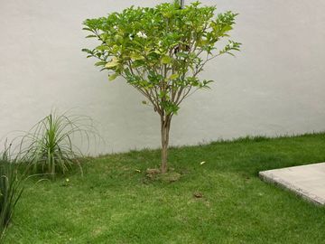 EXCELENTE CASA EN VENTA EN COLIMA