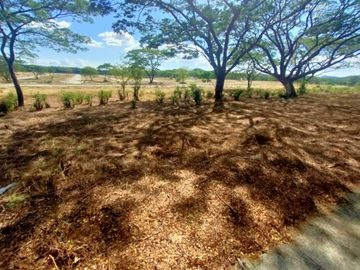 FOR SALE: Palo Alto Residential/Farm Estate Baras, Rizal
