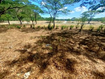 FOR SALE: Palo Alto Residential/Farm Estate Baras, Rizal