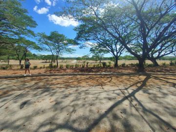 FOR SALE: Palo Alto Residential/Farm Estate Baras, Rizal
