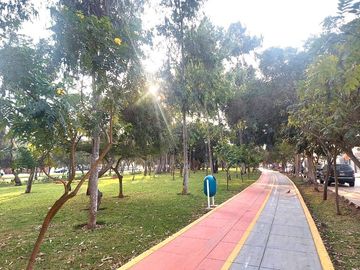 VENDO LINDO DPTO 157m2 SAN BORJA, VISTA PANORAMICA PARQUE, PRECIO OPORTUNIDAD