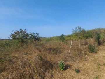 VENDO FINCA DE 52 HECTAREAS CON TIERRAS FERTILES Y LISTAS PARA SEMBRAR