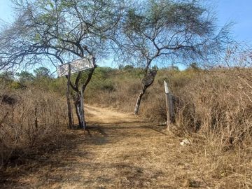 VENDO FINCA DE 52 HECTAREAS CON TIERRAS FERTILES Y LISTAS PARA SEMBRAR