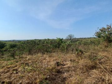 VENDO FINCA DE 52 HECTAREAS CON TIERRAS FERTILES Y LISTAS PARA SEMBRAR