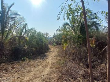 VENDO FINCA DE 52 HECTAREAS CON TIERRAS FERTILES Y LISTAS PARA SEMBRAR