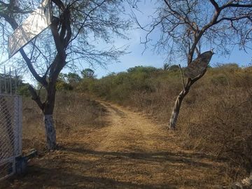 VENDO FINCA DE 52 HECTAREAS CON TIERRAS FERTILES Y LISTAS PARA SEMBRAR