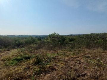 VENDO FINCA DE 52 HECTAREAS CON TIERRAS FERTILES Y LISTAS PARA SEMBRAR