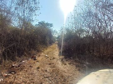 VENDO FINCA DE 52 HECTAREAS CON TIERRAS FERTILES Y LISTAS PARA SEMBRAR