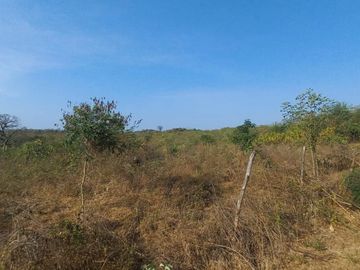VENDO FINCA DE 52 HECTAREAS CON TIERRAS FERTILES Y LISTAS PARA SEMBRAR