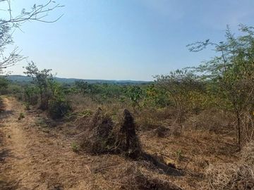 VENDO FINCA DE 52 HECTAREAS CON TIERRAS FERTILES Y LISTAS PARA SEMBRAR