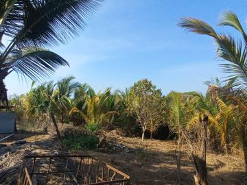 VENDO FINCA DE 52 HECTAREAS CON TIERRAS FERTILES Y LISTAS PARA SEMBRAR