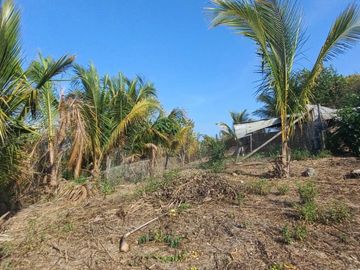 VENDO FINCA DE 52 HECTAREAS CON TIERRAS FERTILES Y LISTAS PARA SEMBRAR