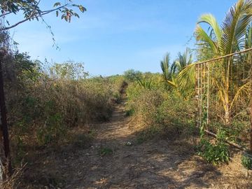 VENDO FINCA DE 52 HECTAREAS CON TIERRAS FERTILES Y LISTAS PARA SEMBRAR