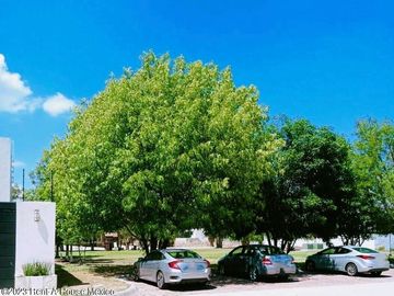 Casa de tres recámaras en una planta en venta en Apaseo el Grande colindando con Querétaro, Guanajuato