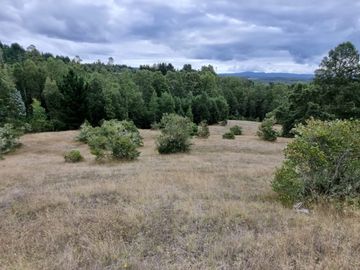 Campo 5,5 Hectáreas con Casa Chancoyan Alto