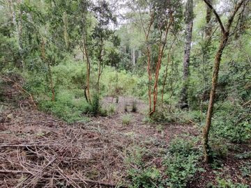 Campo 5,5 Hectáreas con Casa Chancoyan Alto