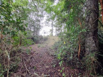Campo 5,5 Hectáreas con Casa Chancoyan Alto