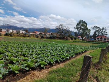 Terreno en venta, estratégicamente ubicado en San joaquín