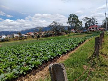 Terreno en venta, estratégicamente ubicado en San joaquín