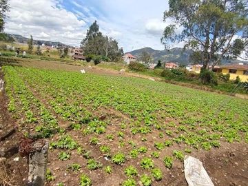 Terreno en venta, estratégicamente ubicado en San joaquín