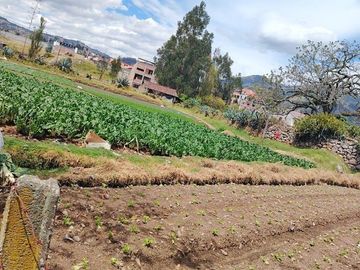 Terreno en venta, estratégicamente ubicado en San joaquín