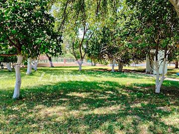 Quinta en Venta Campestre Los Girasoles