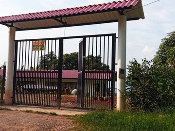 VENDO  O PERMUTO FINCA PRODUCTIVA