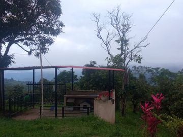 VENDO  O PERMUTO FINCA PRODUCTIVA