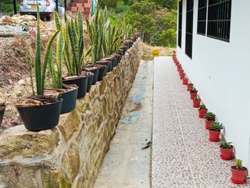 VENDO  O PERMUTO FINCA PRODUCTIVA