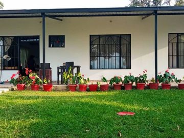 VENDO  O PERMUTO FINCA PRODUCTIVA