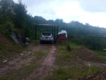 VENDO  O PERMUTO FINCA PRODUCTIVA